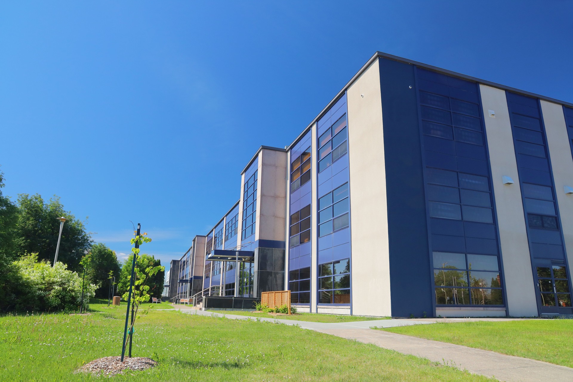 Modern College School Building in Summer